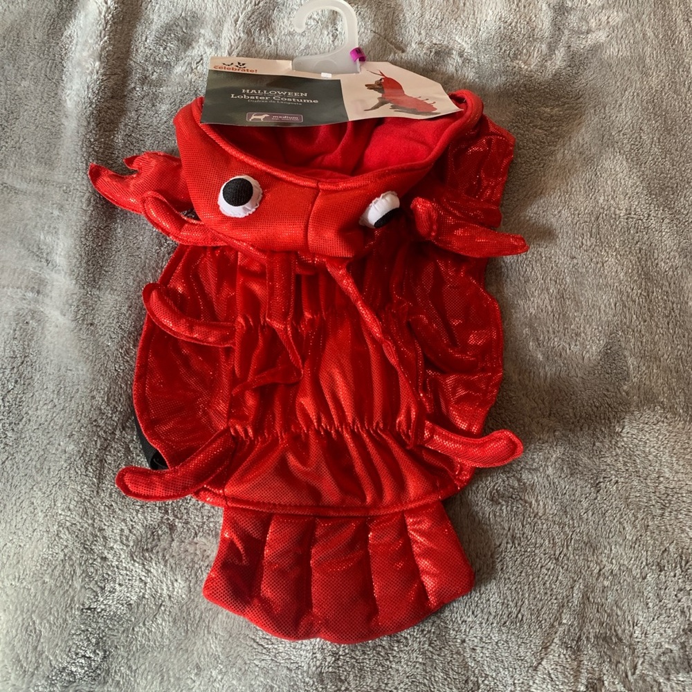 Size Medium Pet Halloween Costume Red Lobster Dog Celebrate New